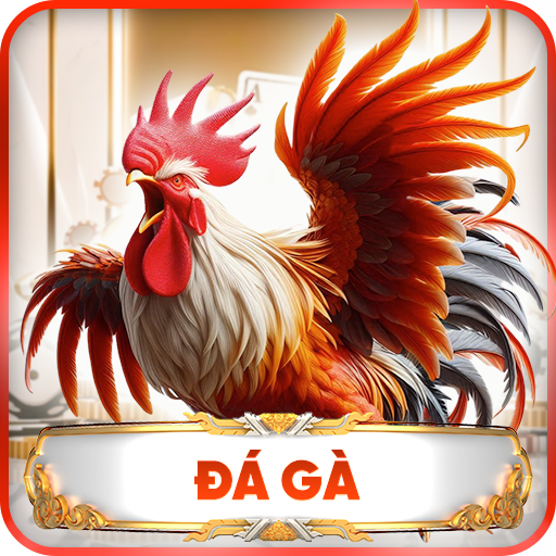 đá gà